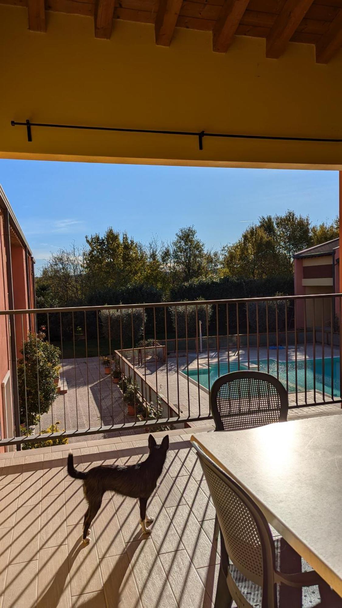 Agriturismo Ai Tre Fienili Ponti sul Mincio Exteriör bild